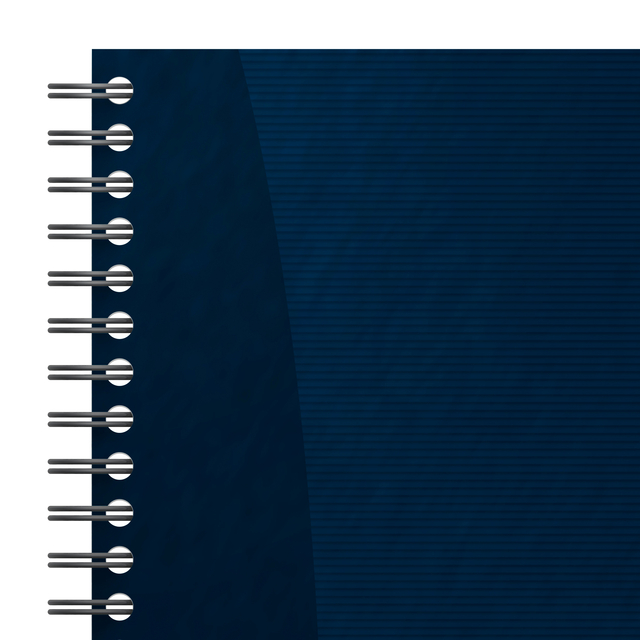 Task Manager Oxford 141x246 mm 115vel blauw