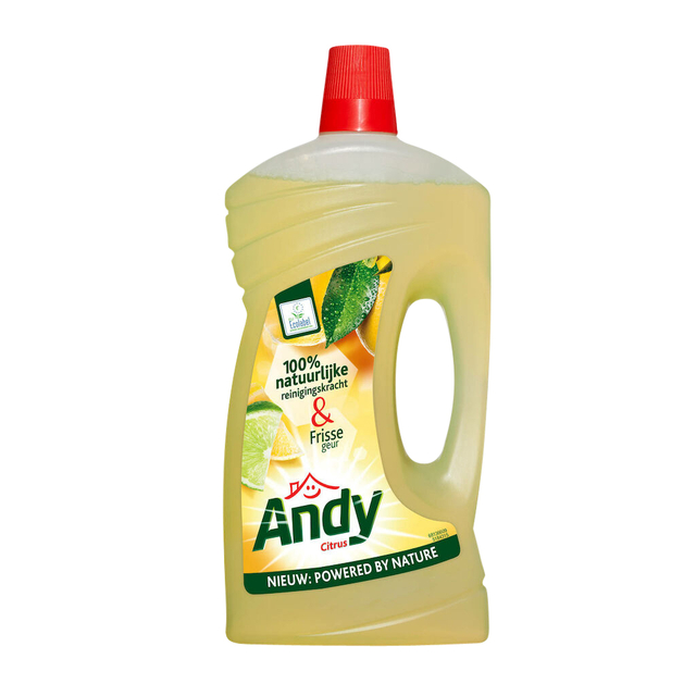 Allesreiniger Andy citroen fris 1 liter