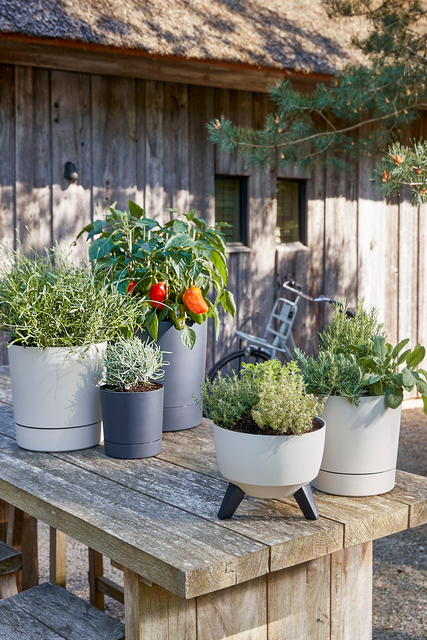 Plantenpot Mica Coco met schotel rond hoogte 29,5 Ø28 cm antraciet