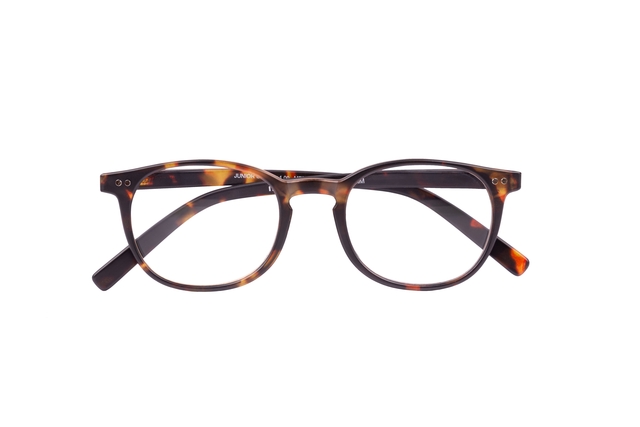 bril, brillen, tortois, raster, frame