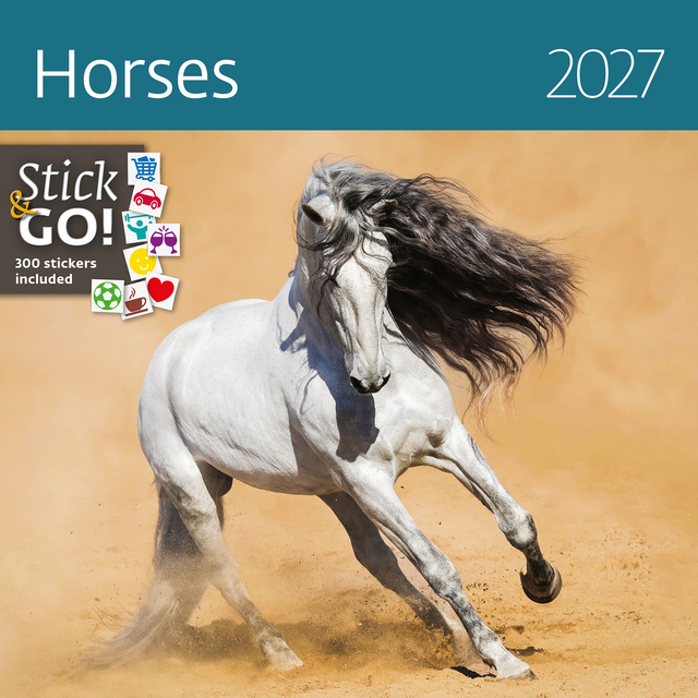 Kalender 2027 Helma 365 30x30cm paarden