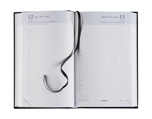 open planner, week view, ring binder, ribbon bookmark, calendar planner