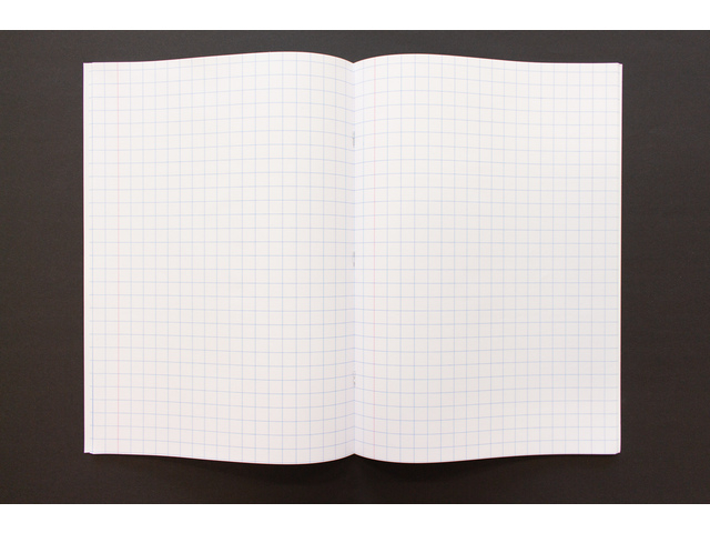 notitieboek, rasterpapier, open notebook, witte pagina, twee pagina's