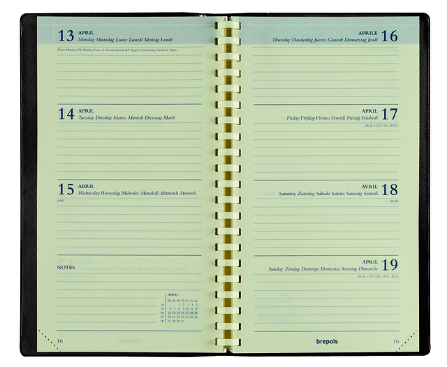 planner, notebook, open-spine, ring-bound, calendar-pages
