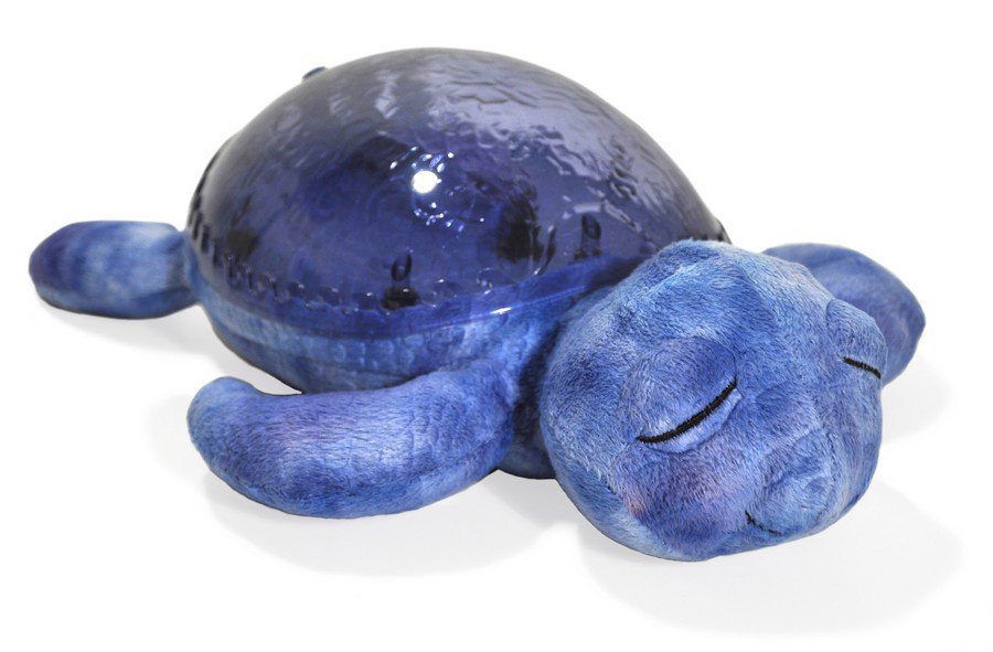 Snoezige schildpad in kleur lila van Cloudb