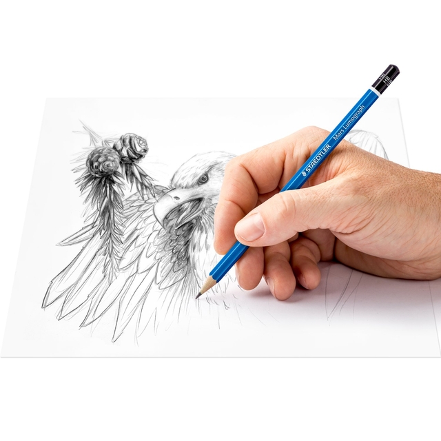 potloodtekening, hand, vogel, sparerig