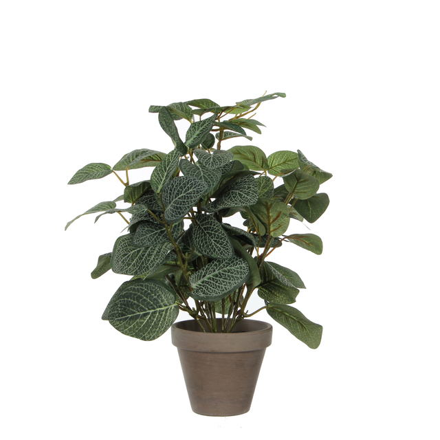 Kunstplant Mica Pilea in pot Ø11,5cm 35x25cm