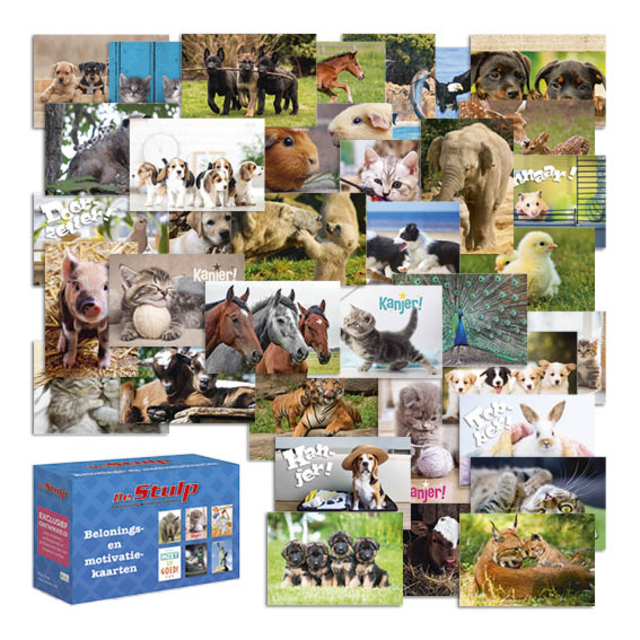 hondenfoto, dierenthema, dierenkaarten, kaartenpakket, huisdieren