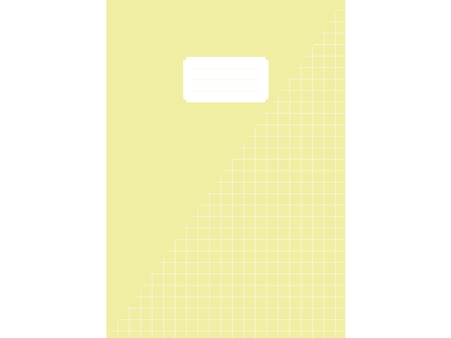 notebook, case, yellow, grid pattern, label