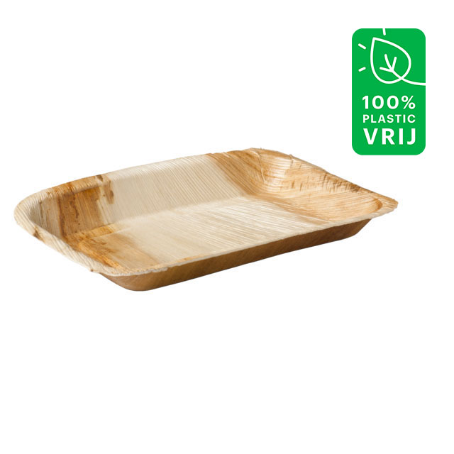 Palmblad bord 24x16cm doos 4x25 st