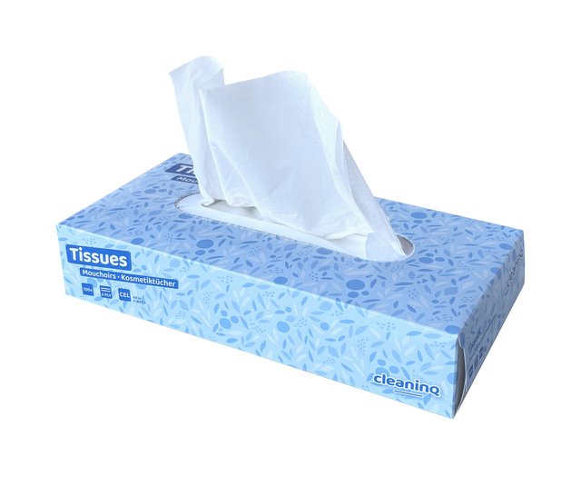 Facial tissues cleaning 2 laags 100 vel wit goedkoop