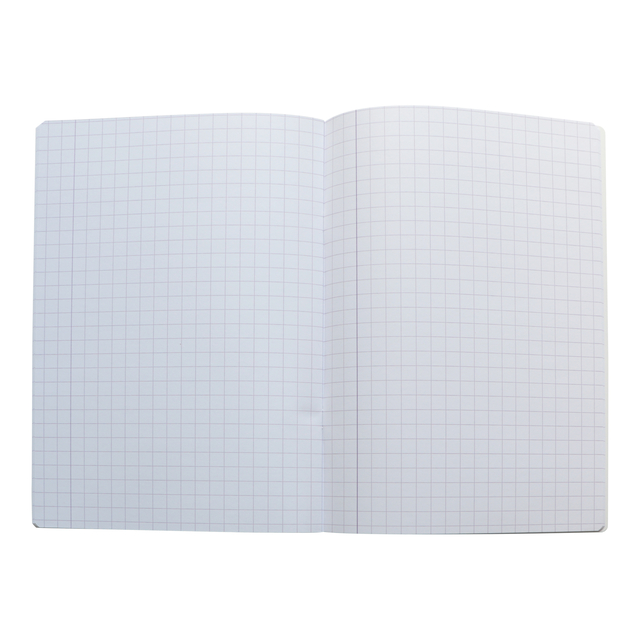 notebook, grid paper, open notebook, grid lines, plain white