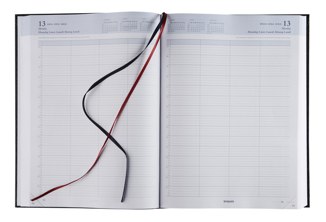 agenda, planner, open notebook, ribbon, two-page spread