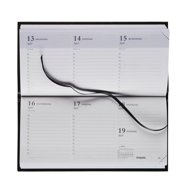 planner, notebook, calendar, binding, ribbon