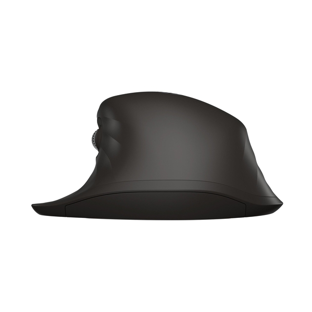 hoed, fedora, zwart, kleur?, matkja