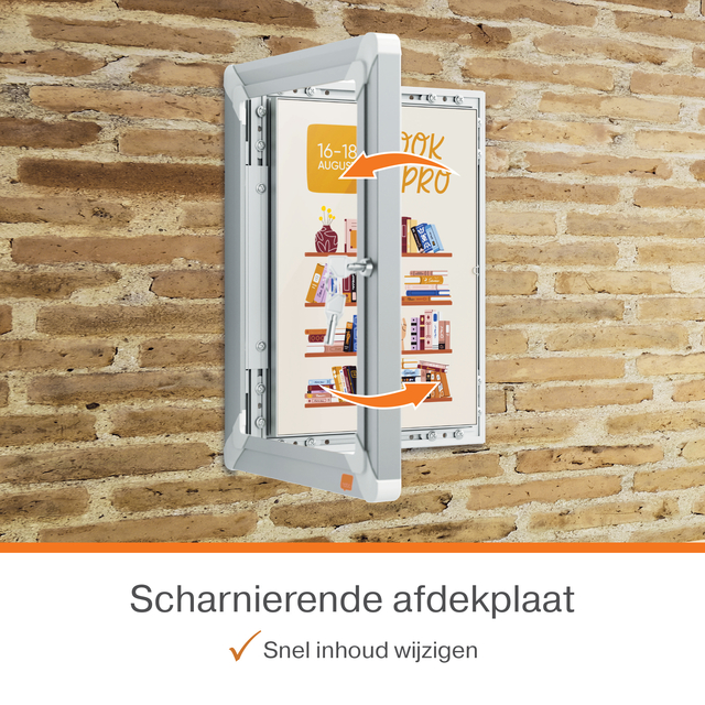 scharnierdeur, afdekplaat, wandkast, kleurig, dubbele open