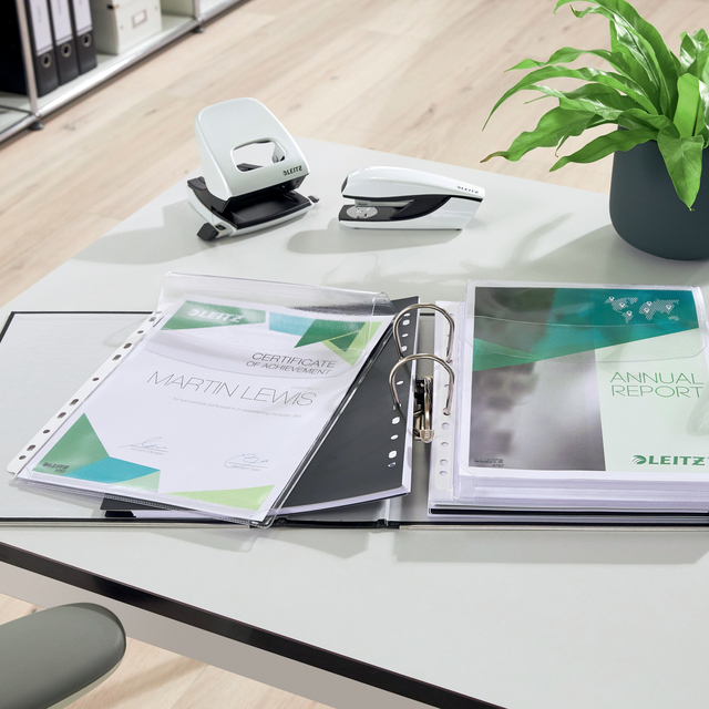 stapler, stapler hole punch, binder, document, office desk