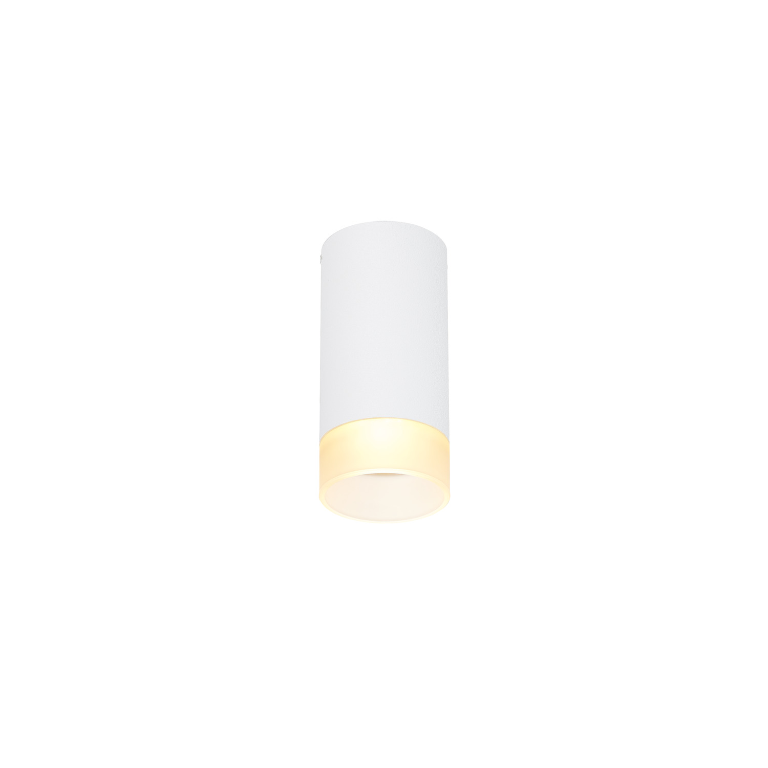 ASTINA CL wit plafondlamp 1xGU10