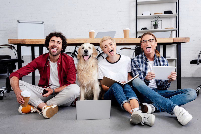 Ontdek waarom een kantoorhond zorgt voor minder stress en meer geluk