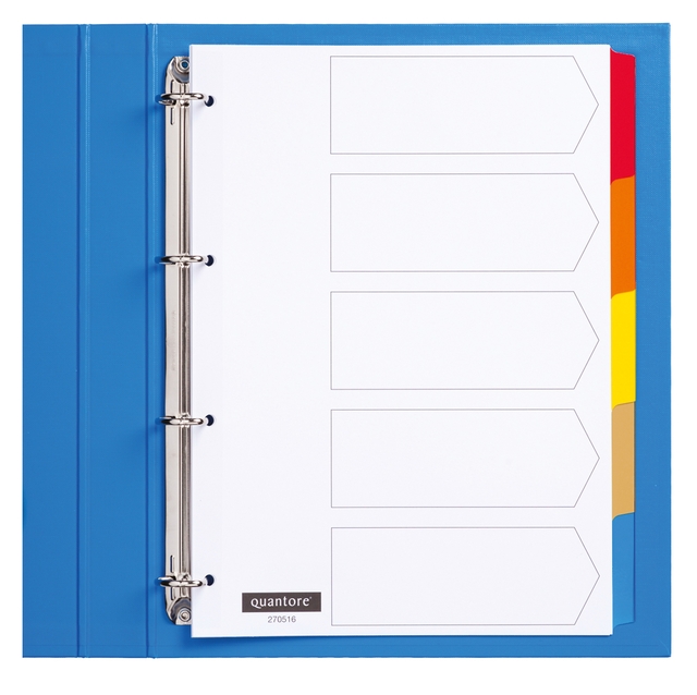 ringbinder, binder, label tabs, divider, front sheet