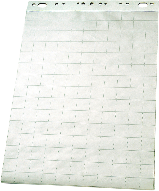 Flipoverpapier Esselte 60x85cm ruit/blanco 50vel