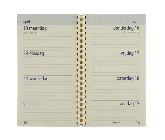 dagboek, notitieboek, ringband, gelijnd, A6-formaat