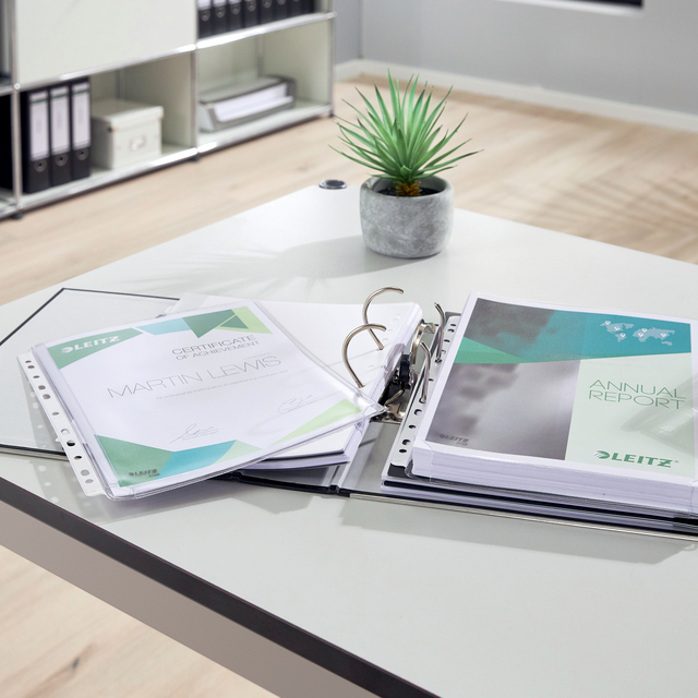 kantoor, documenten, ringband, binder, plantenpot