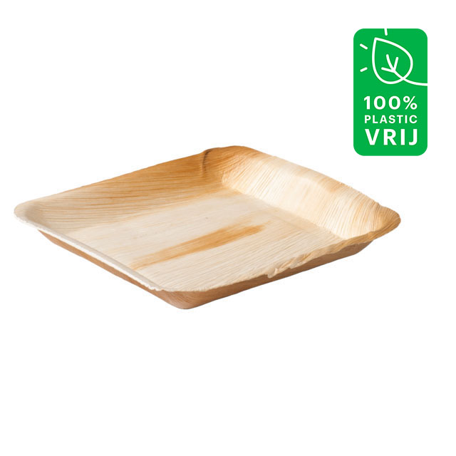 Palmblad bord 24x24cm doos 4x25 st.