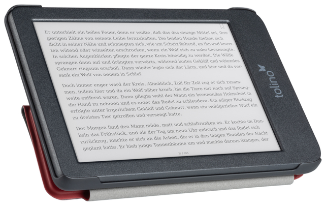 e-reader, e-book, lcd screen, black frame, portable device