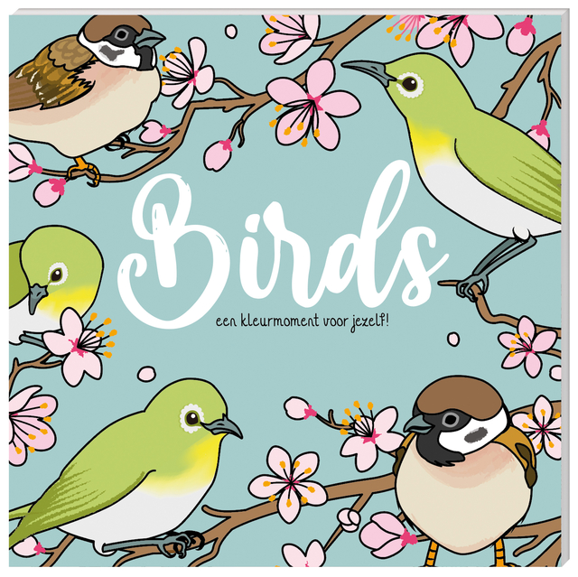 illustration, vogeltjes?