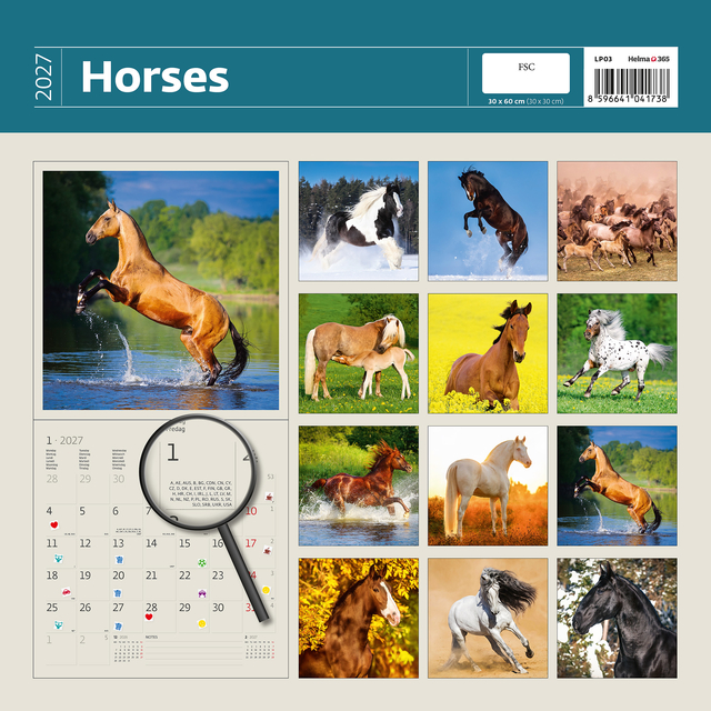 Kalender 2027 Helma 365 30x30cm paarden
