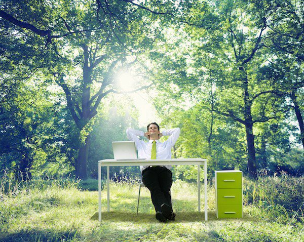 5 Voordelen van planten op kantoor 5 Voordelen van planten op kantoor