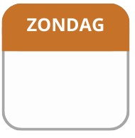 Labellord PL Daglabel Etiket Zondag 25x25 mm Flush 1000st