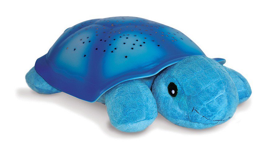 Snoezige schildpad in blauw van Cloudb