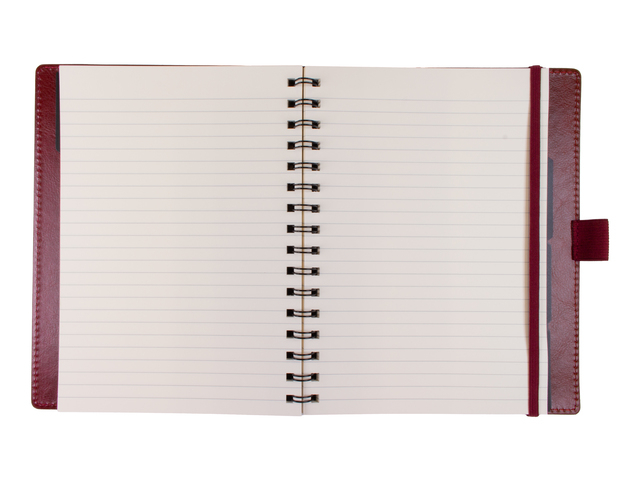 notebook, spiral-bound, lined pages, open notebook, red cover