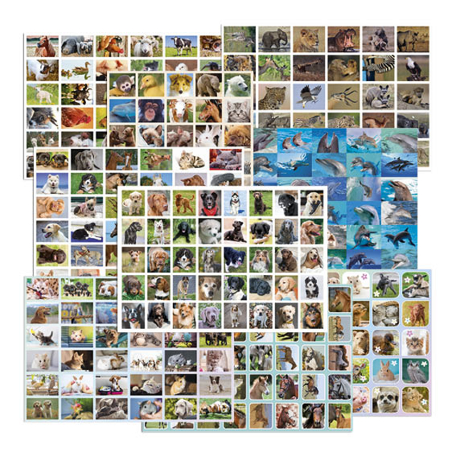 dierenfoto, honden, katten, huisdieren,  collectie