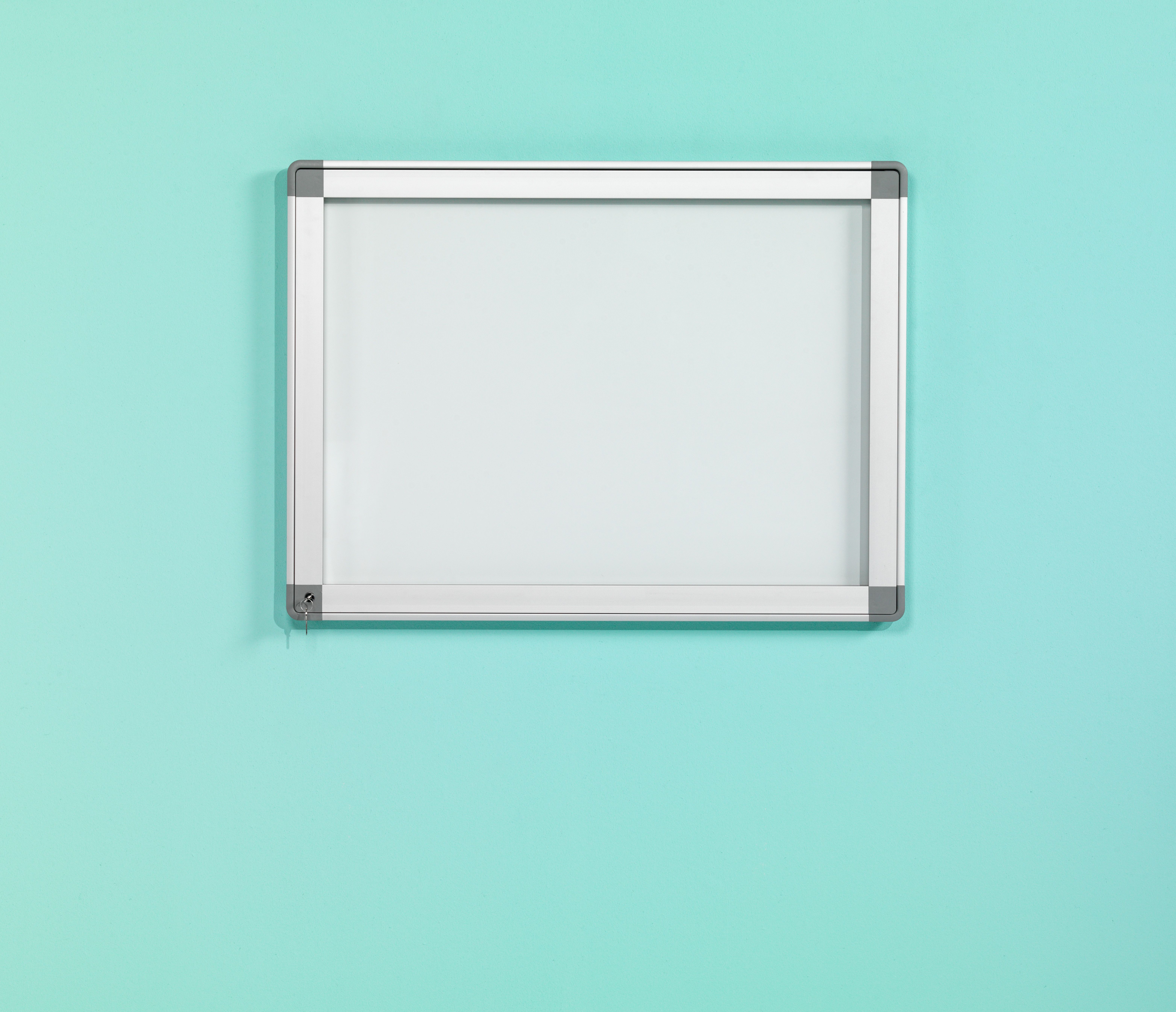 Binnen-/buitenvitrine Recto, gasveer, 27xA4 - 90x190 cm