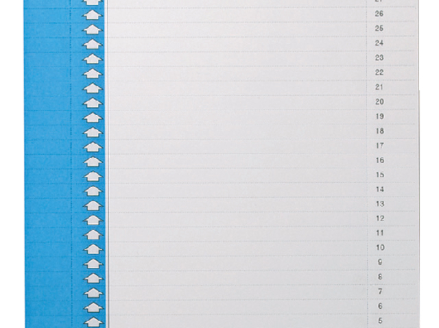 Ruiterstrook Elba Nr 0 297x6mm verticaal blauw 10 vel