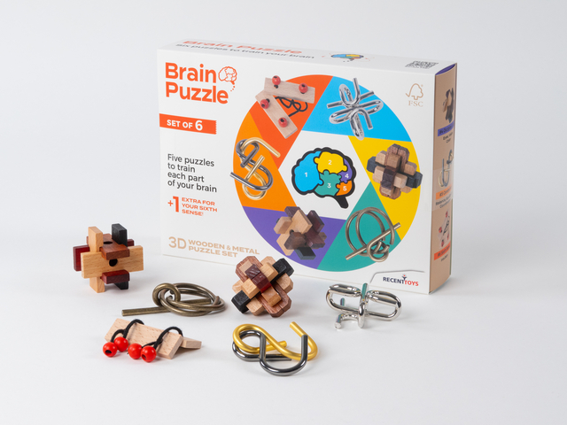 puzzle, brain, hout, metaal, set van 6