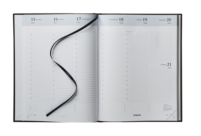 agenda, notitieboek, openbaar, planningsboek, koord