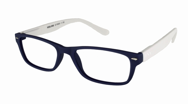 bril, brilletjes, oogbescherming, kunststof frame, donkerblauw