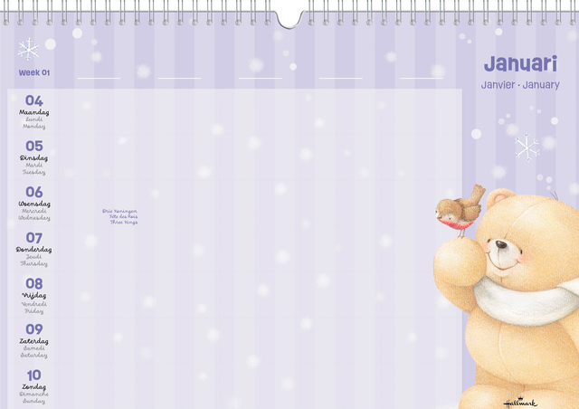 knuffel, beer, knuffelbeer, beer teddy, winter