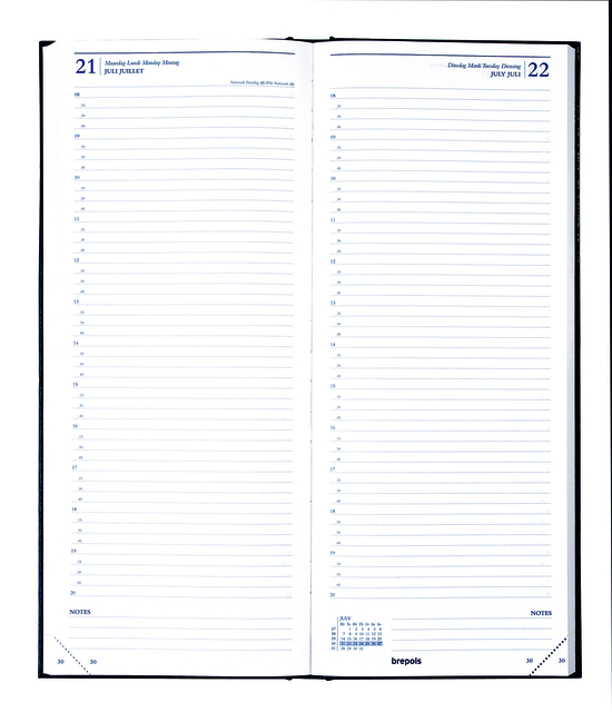 agenda, notitieboek, planner, blauw, lijnen