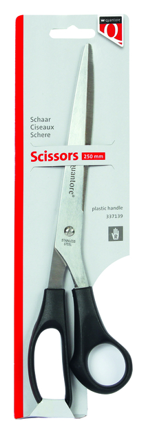schaar, scissors, stål, plast-handvat, 250 mm