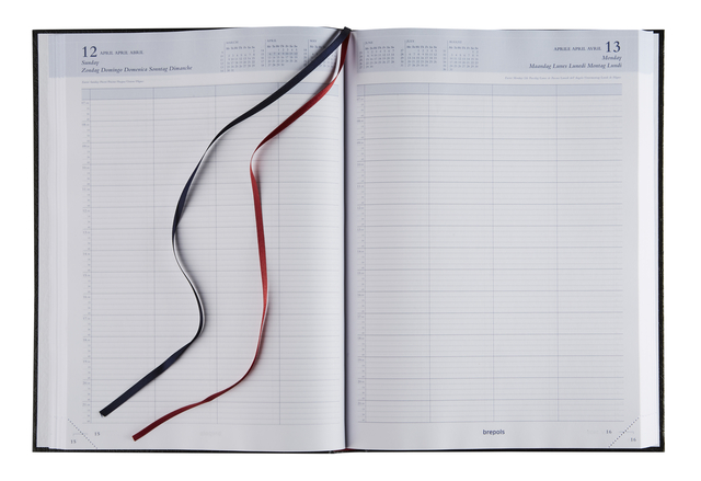 agenda, planner, open notebook, ribbons, pages