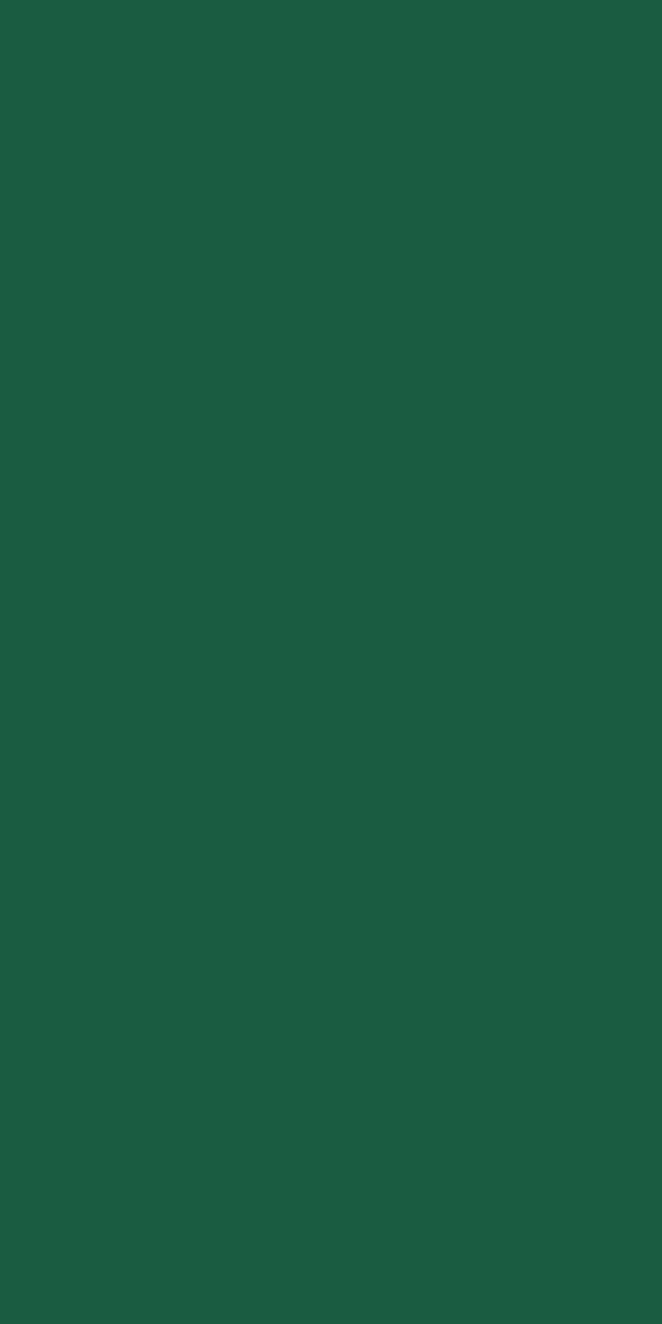 Duni Servet 33x33cm Donkergroen 1_8vouw 2lgs 4 x 300st
