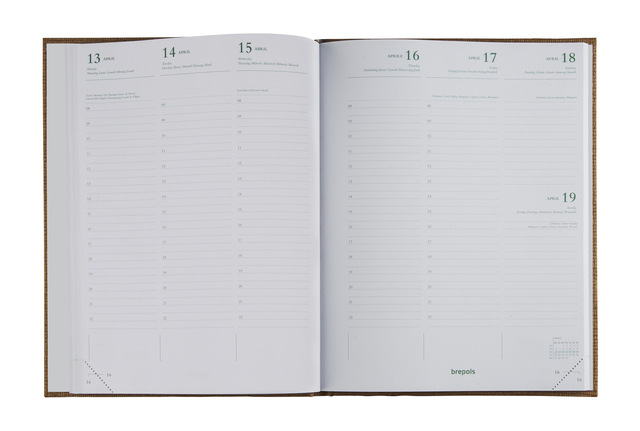 agenda, planner, open notebook, two-page spread, calendar pages