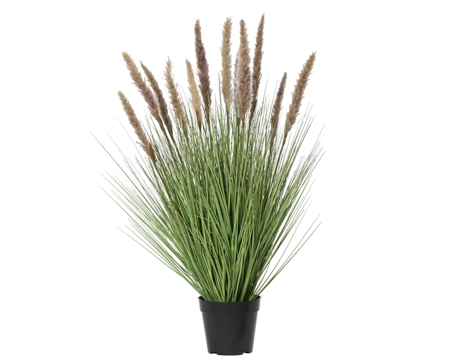 gras, grassen, kunstplant, plantenpot, bamboe-achtig
