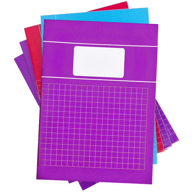 Schrift SOHO Trend A4 ruit 10x10mm 80 pagina's 60gr pak à 5 stuks