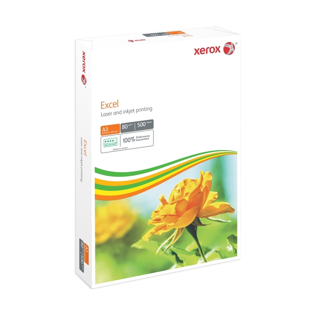 Daisy, Bloem, Plant, Roos, Kruiden